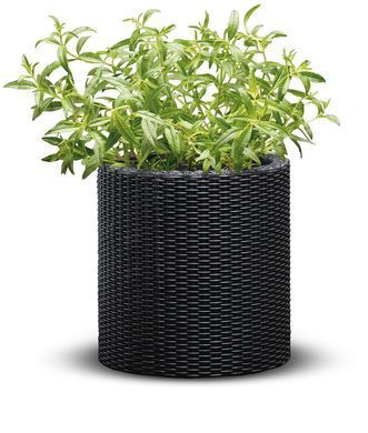 Горшок для цветов Keter Medium Cylinder Planter 229123 антрацит