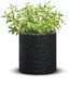 Горшок для цветов Keter Medium Cylinder Planter 229123 антрацит
