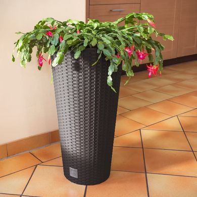 Горщик Prosperplast Rato Tubus DRTUS300-440U коричневий, Коричневий