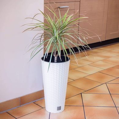 Горщик Prosperplast Rato Tubus DRTUS400-S449 білий, Білий